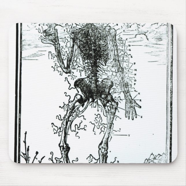 Vascular System of the Body Mouse Pad (Front)