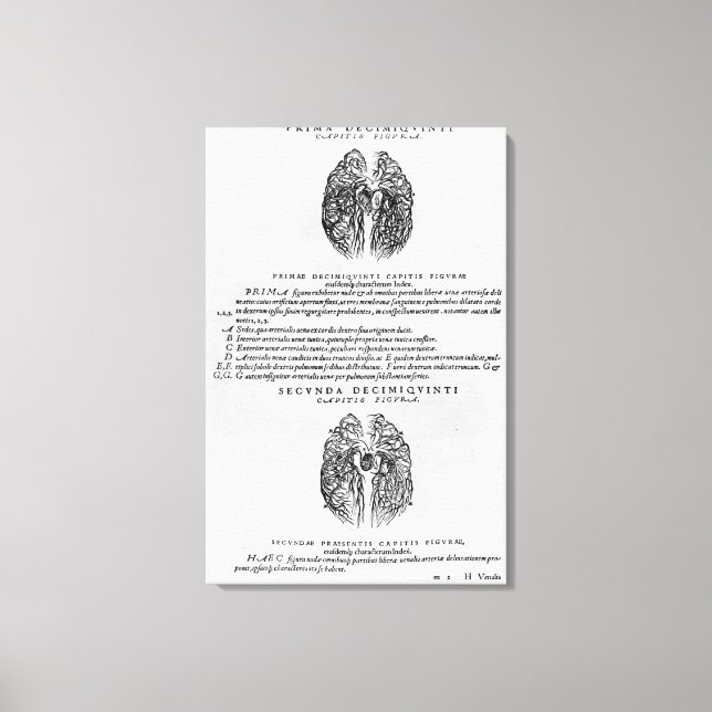 Vascular system of the brain canvas print (Front)