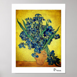 Vase with Irises Against a Yellow Back Poster