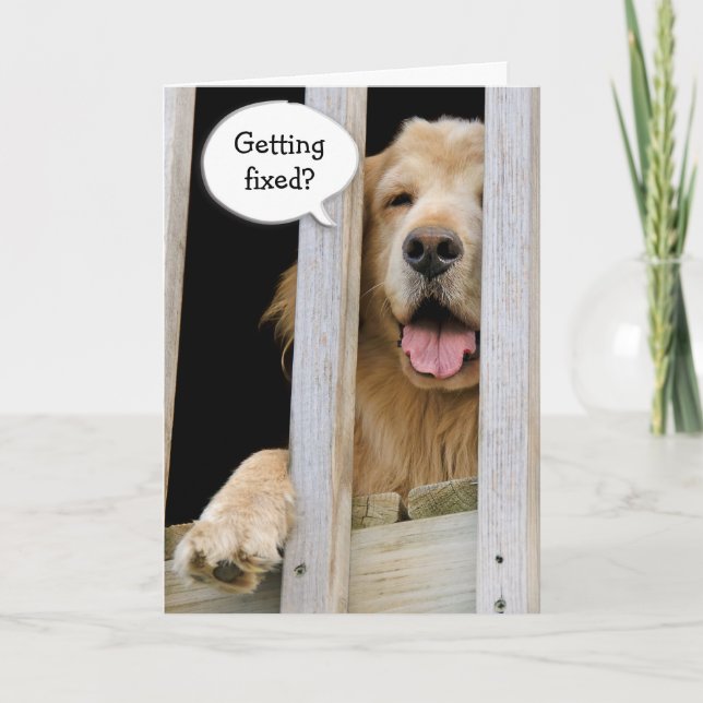 Vasectomy Humour Card (Front)