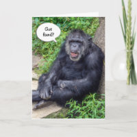 Vasectomy Humour with Chimpanzee