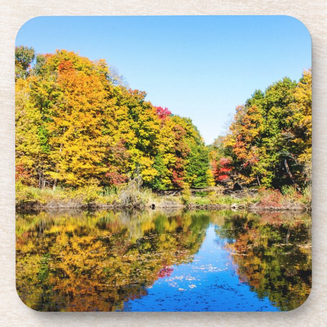 Vassar Farms Pond Coaster (Front)