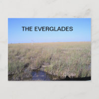 VASTNESS OF THE EVERGLADES