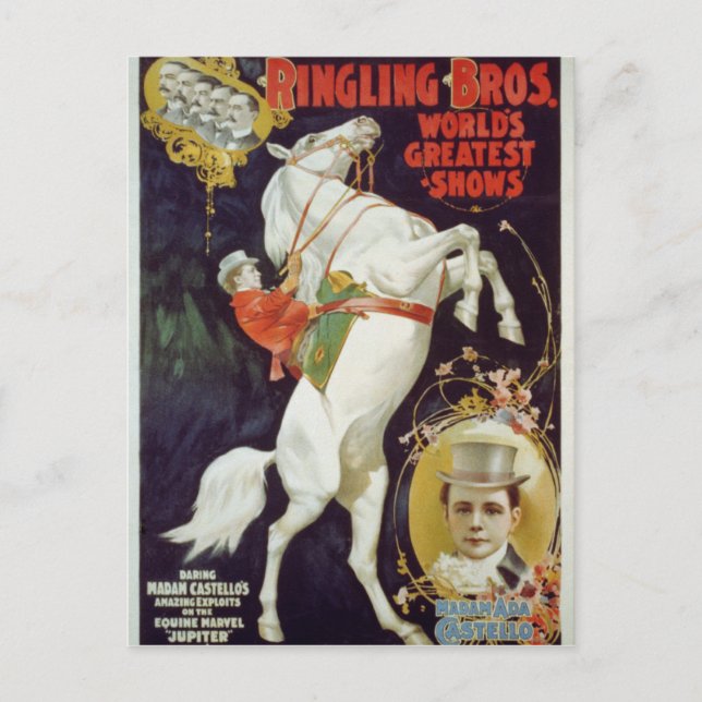 Vaudeville, Circus shows Postcard (Front)