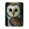 Vaughn Belak Owl magnet