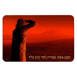 Vayeira - Lot's Wife Magnet