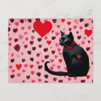 Vday cat