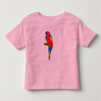 Vector -  parrot bird