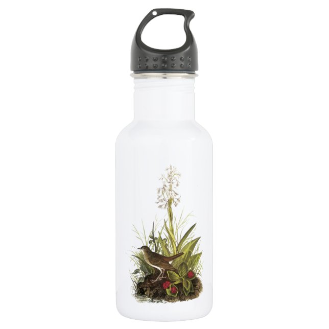 Veery by Audubon 532 Ml Water Bottle (Front)