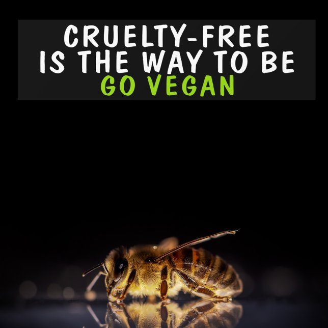 Vegan Activism  Bumper Sticker (Creator Uploaded)