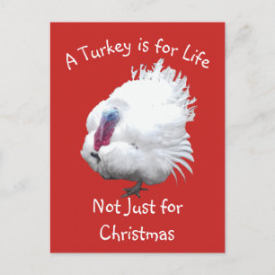 Vegan Christmas Turkey Postcard