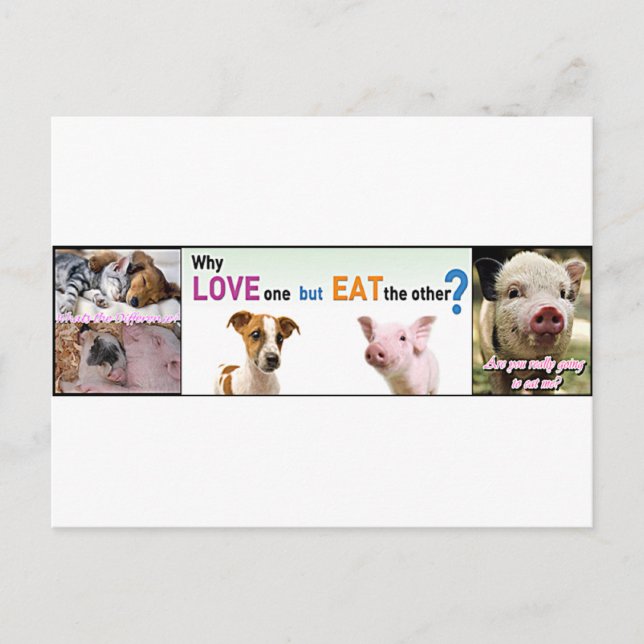 Vegan Gear Whats the difference? Postcard (Front)