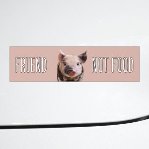 Vegan saying "Friend not food" cute piglet Bumper Sticker