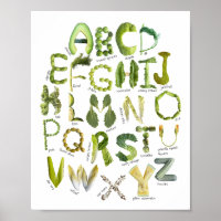 Vegetable Alphabet - Eat your Greens Kids Veggie