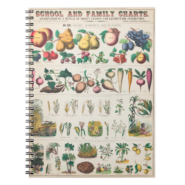 Vegetable botanical poster notebook (Front)