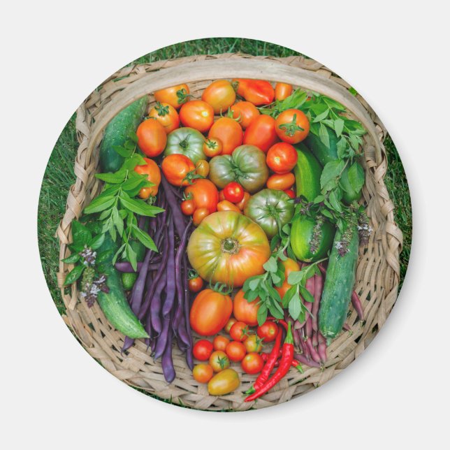 Vegetable Harvest Basket Magnet (Front)