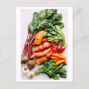 Vegetable Medley Photo Postcard