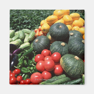 Vegetables 2 magnet