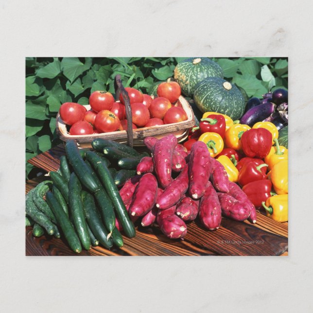 Vegetables 3 postcard (Front)