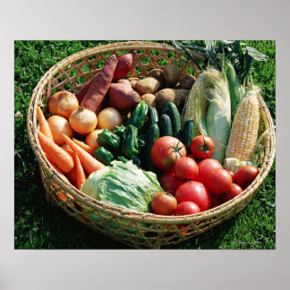 Vegetables 5 poster