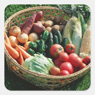 Vegetables 5 square sticker