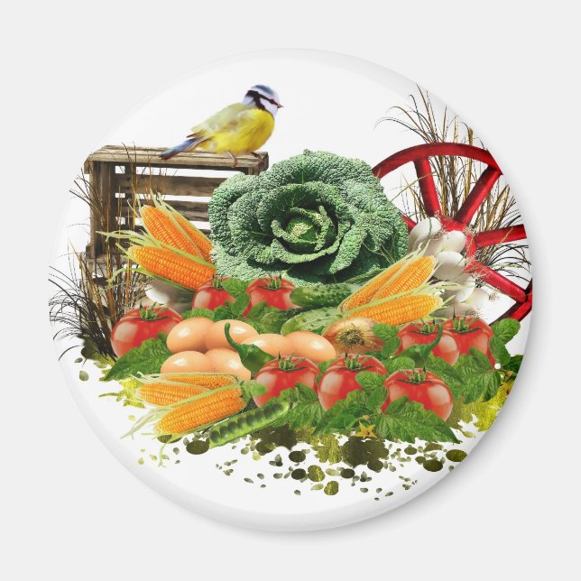 Vegetables and eggs magnet (Front)
