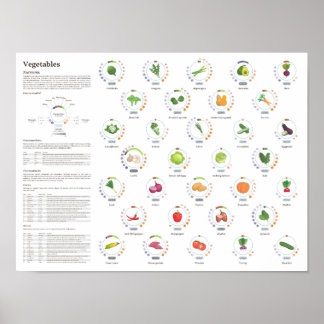 Vegetables - Nutritional values - Infographic Poster
