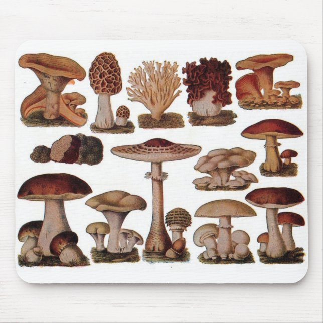Vegetarian hipster steampunk vintage mushroom mouse pad (Front)