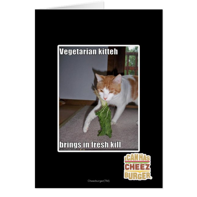Vegetarian Kitteh (Front)
