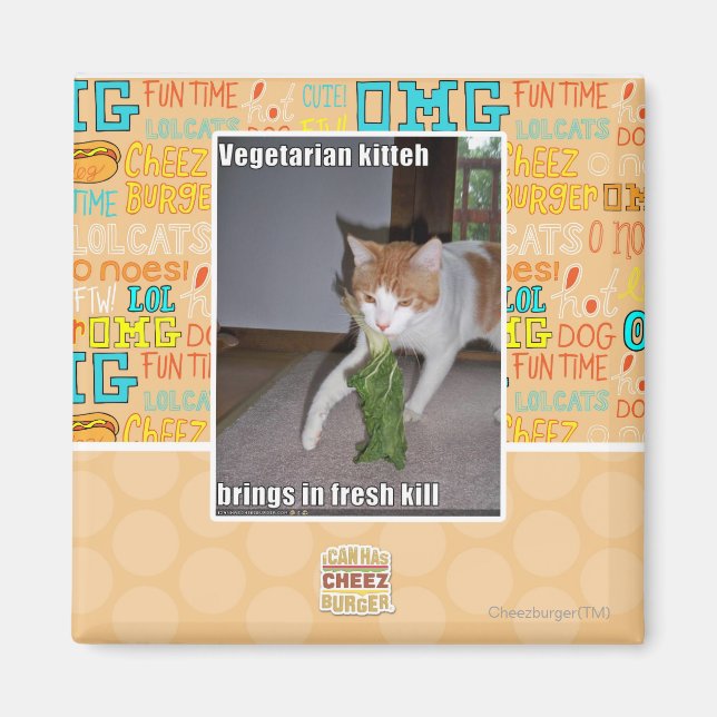 Vegetarian Kitteh Magnet (Front)