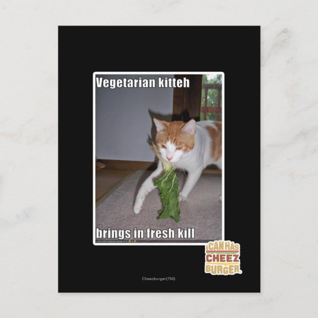 Vegetarian Kitteh Postcard (Front)