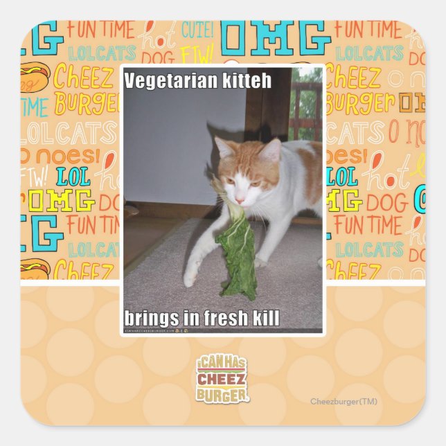 Vegetarian Kitteh Square Sticker (Front)