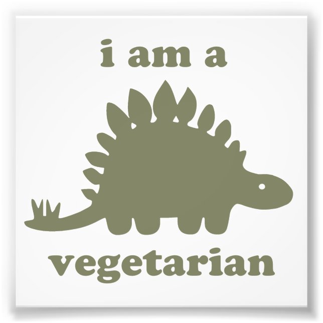 Vegetarian Stegosaurus Dinosaur - Green Photo Print (Front)