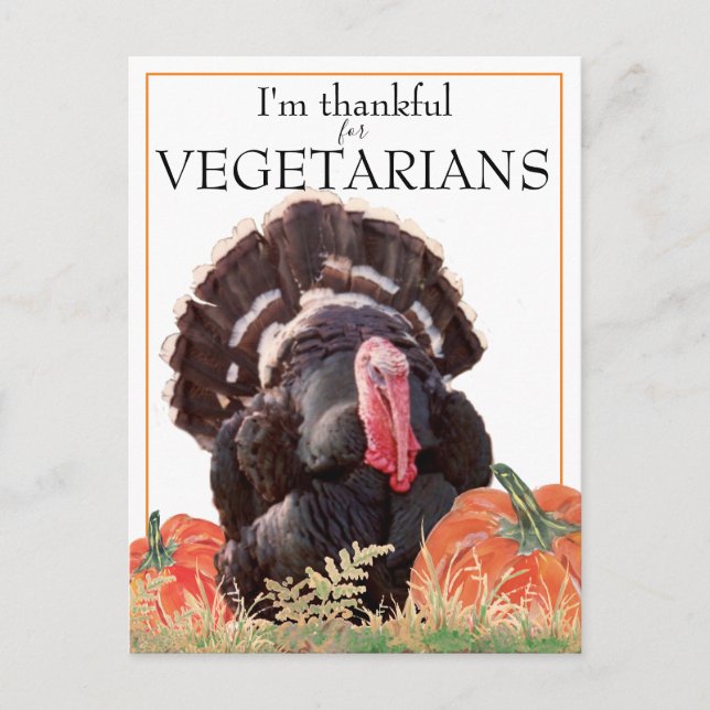 Vegetarian VeganThanksgiving Turkey Photo Thanks Holiday Postcard (Front)