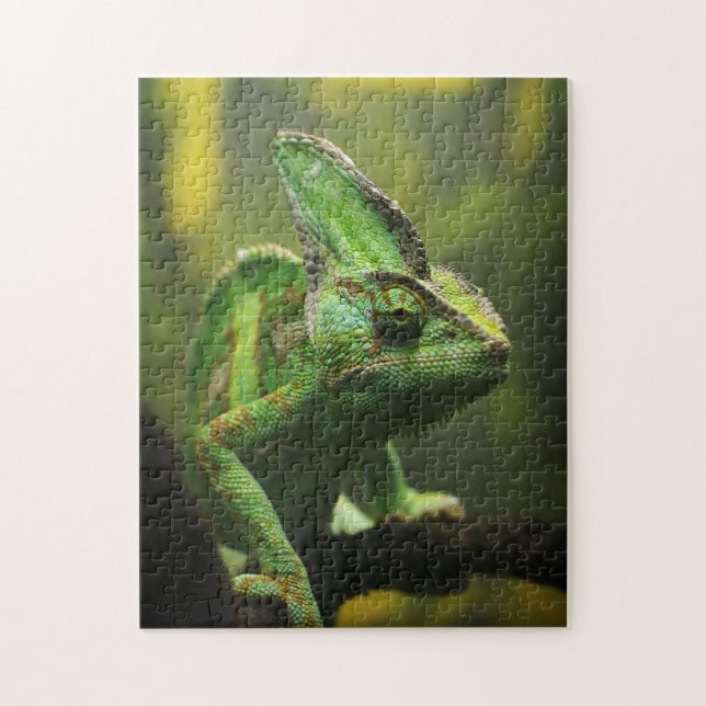 Veiled chameleon jigsaw puzzle (Vertical)