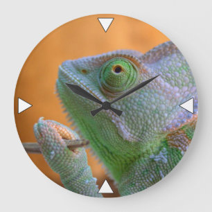 Veiled Chameleon Large Clock