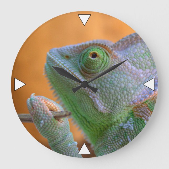Veiled Chameleon Large Clock (Front)