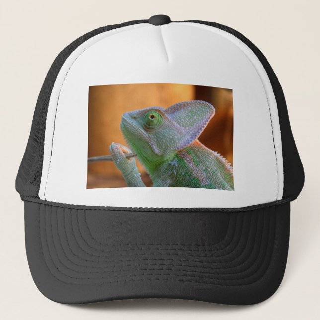 Veiled Chameleon Trucker Hat (Front)