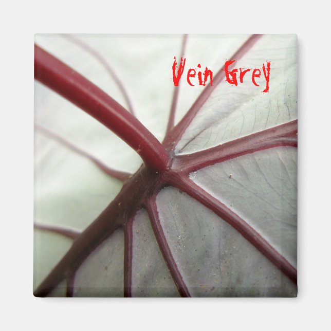 Vein Grey Magnet (Front)