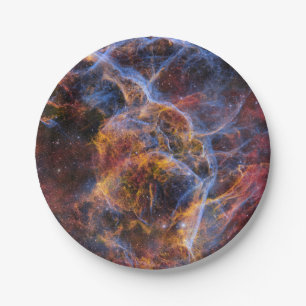 Vela Supernova Remnant Paper Plate