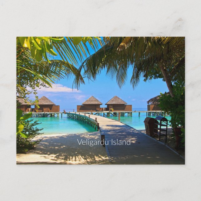 Veligardu Island, Maldives Postcard (Front)