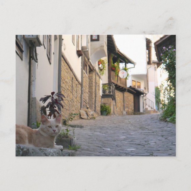 Veliko Tarnovo, Bulgaria Postcard (Front)
