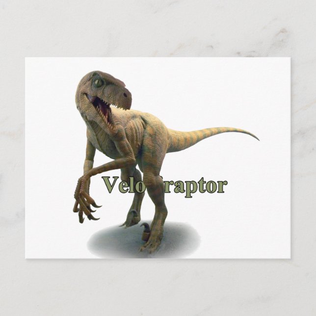 Velociraps Postcard (Front)