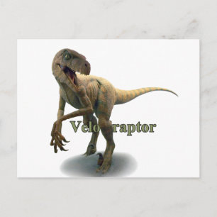Velociraptor Postcard