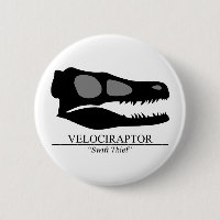 Velociraptor Skull