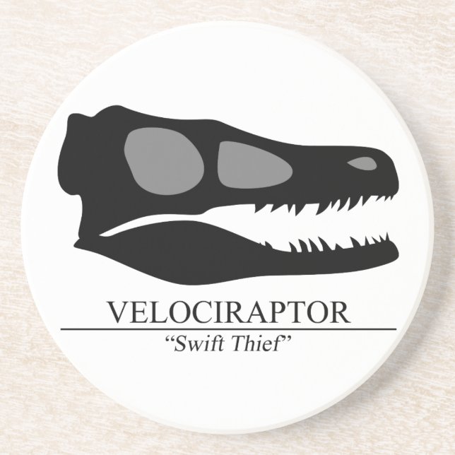 Velociraptor Skull Coaster (Front)
