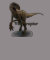 Velociraptor