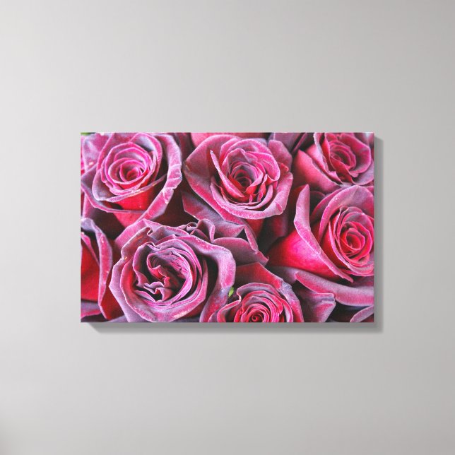Velvet Beauty Canvas Print (Front)