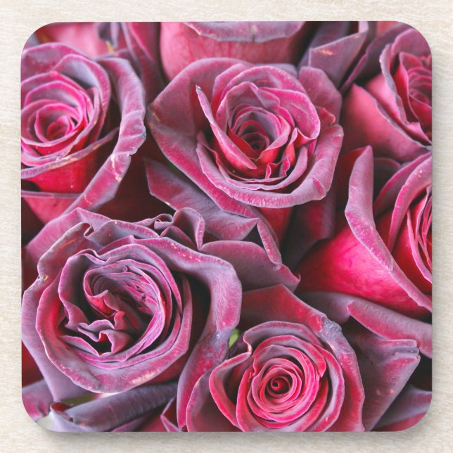 Velvet Beauty Coaster (Front)