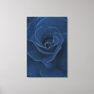 Velvet blue rose canvas print